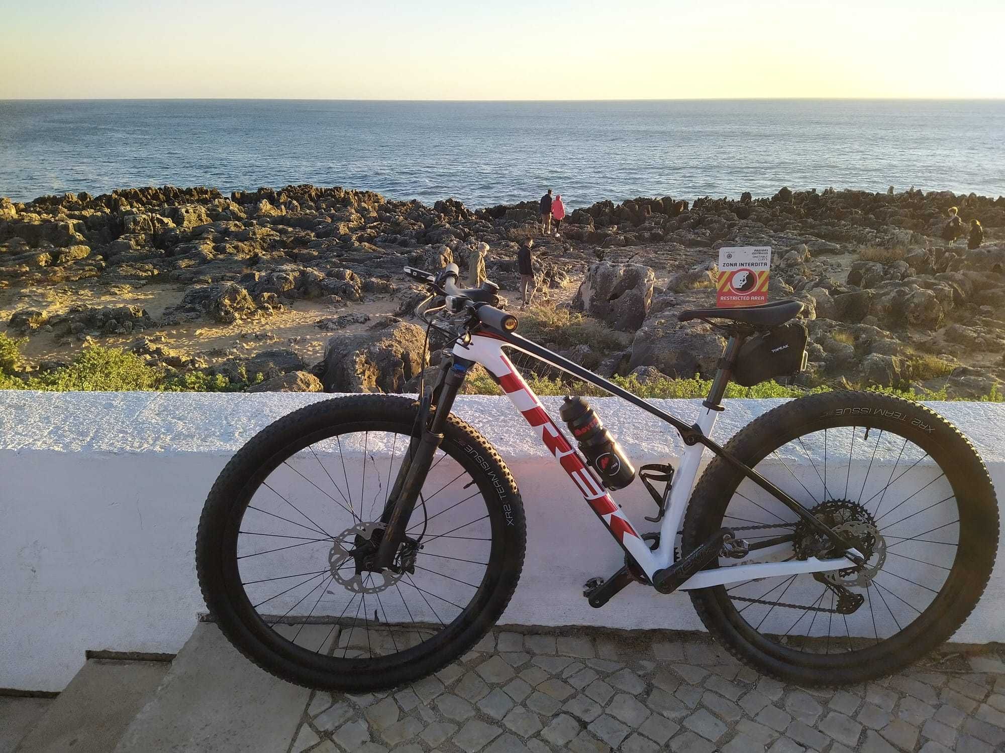 BTT TREK Procaliber 9.8 2022 Custom