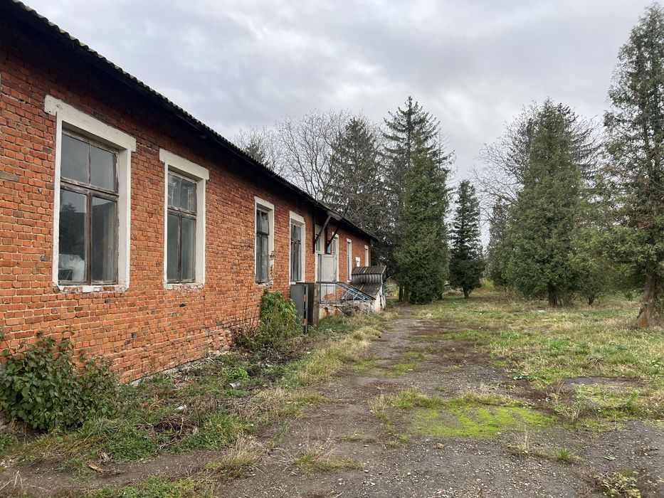 Свиноферма ( цілісний майновий комплекс ) 2700 кв м