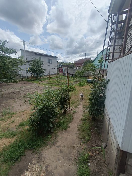 Здам частину будинку на Сосновій