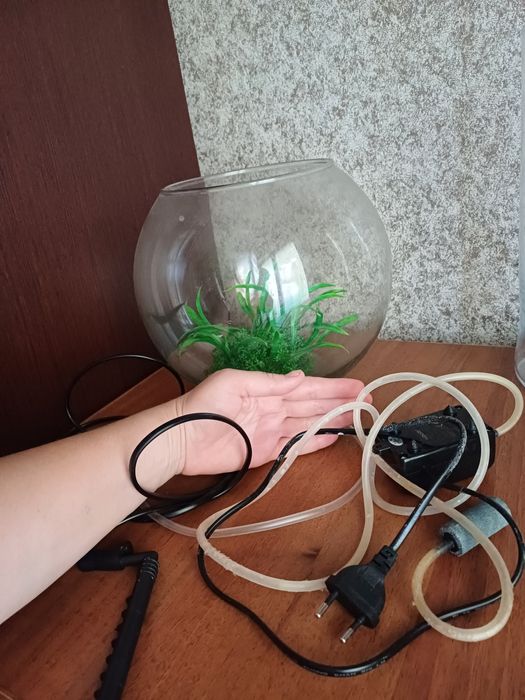 Аквариум + компрессор + декор