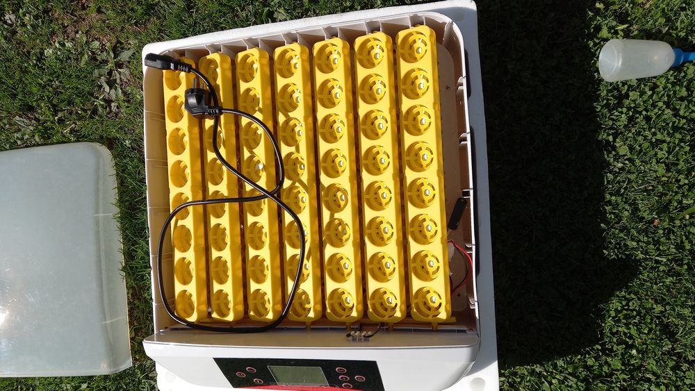 Inkubator 56 jaj.