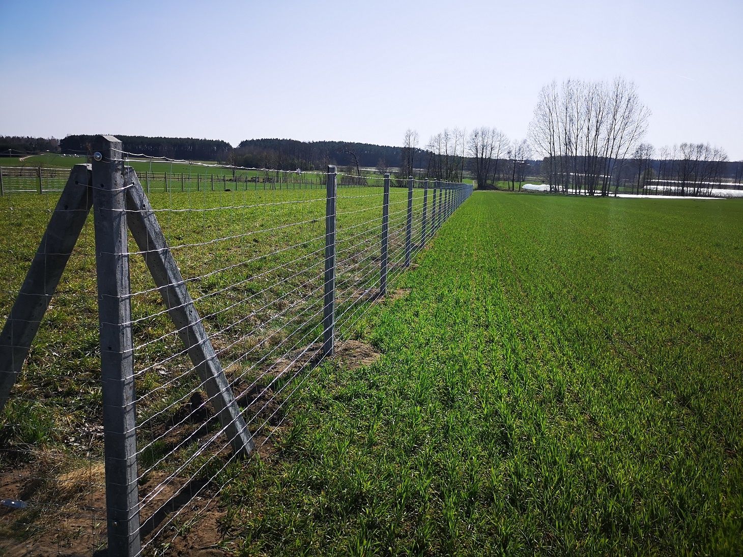 Słupki betonowe do sadu, ogrodzeń