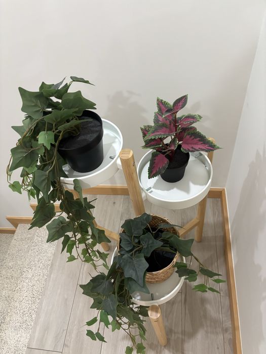 Suporte para plantas