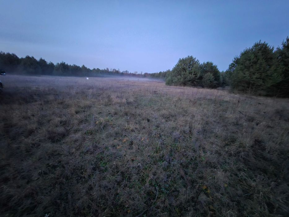 Działka budowlano-rolna 1,1 ha w Łabędziowie gm. Morawica