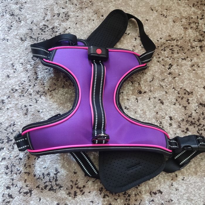 Шлея для собак з світовим ефектом