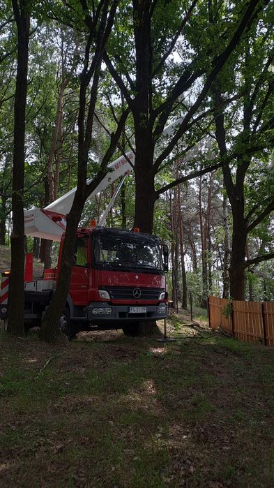 Wynajem Podnośnika Koszowego Zwyżki do 30m