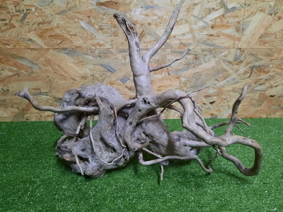 Korzeń do akwarium Red Moore Wood nr 813 o wymiarach 44/28/27