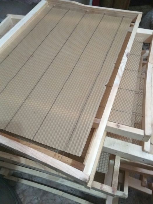 Рамка пчелиная. пчелы