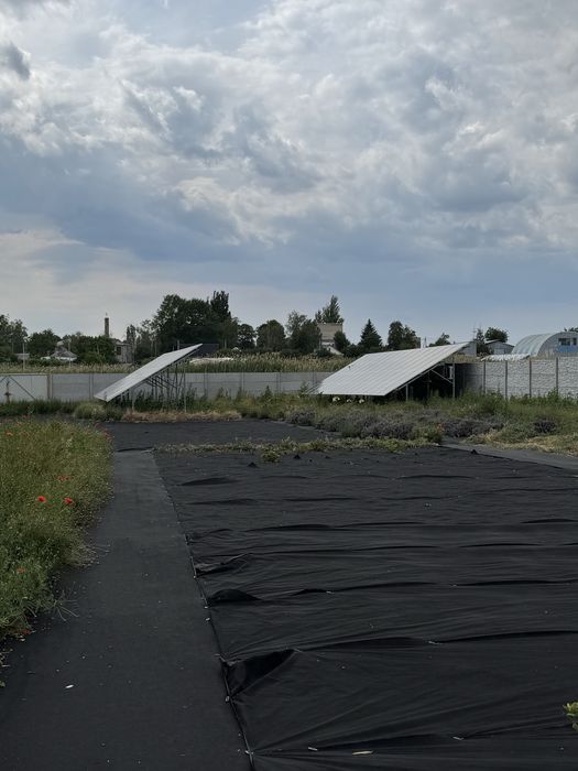 Продам дом с. Королево (сруб)