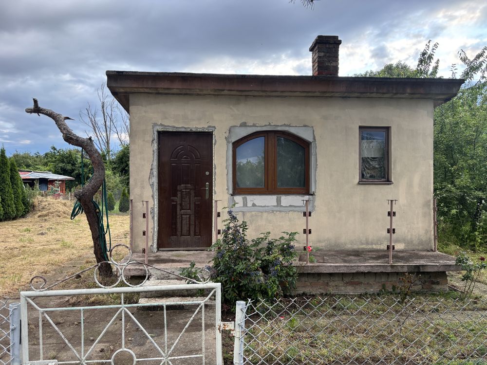Działka ROD Żychlin 312m2 działka na rodzinnych ogródkach działkowych