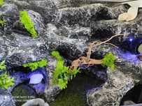 Terrarium dla jaszczurki, małego węża, TW42S3O, AquaWaves