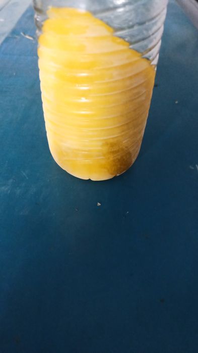 Azeite virgem que coalha, com 0.5 de acidez