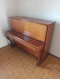 Pianino Legnica tylko dla zdecydowanych