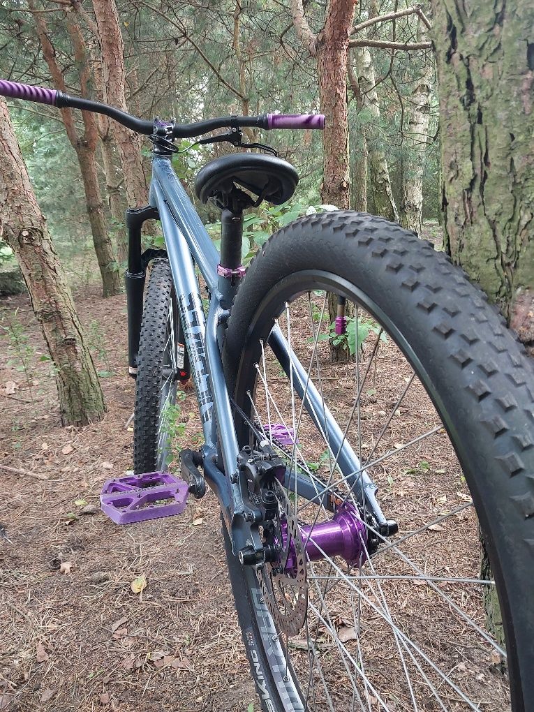 Ns bikes zircus dirt