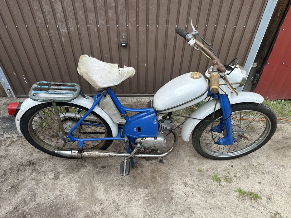 Komar sztywniak mr232