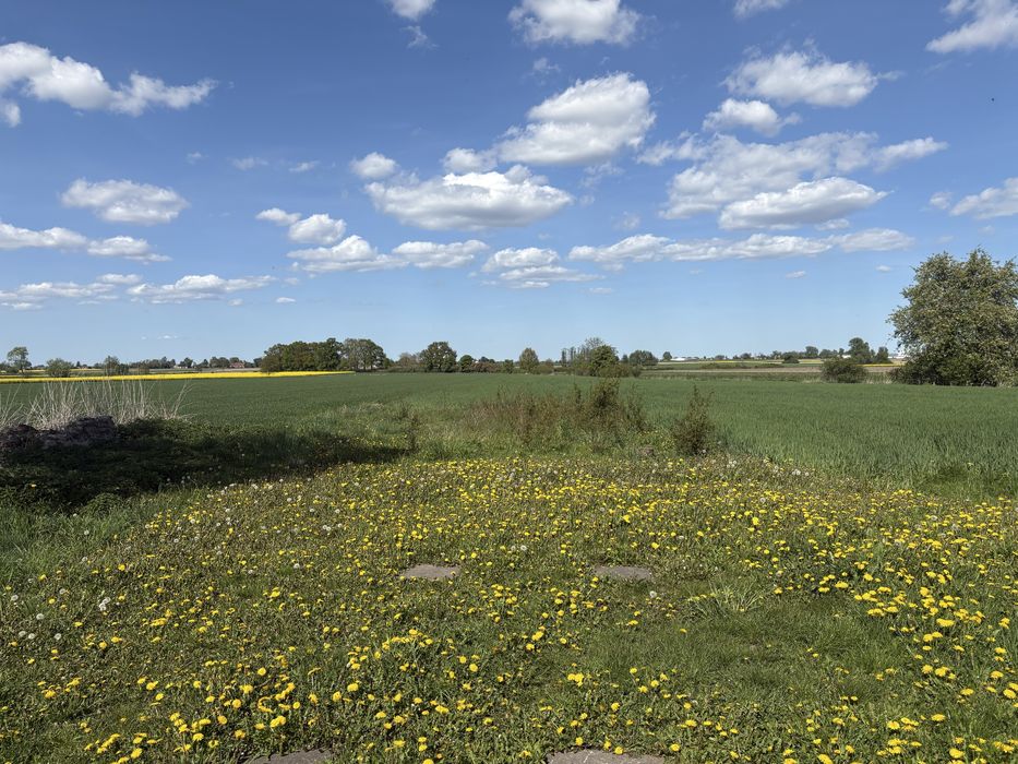 Działka budowlana z warunkami zabudowy, przyłączem wody oraz prądem