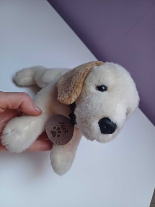 Pluszak pies Jack , długość 21 cm