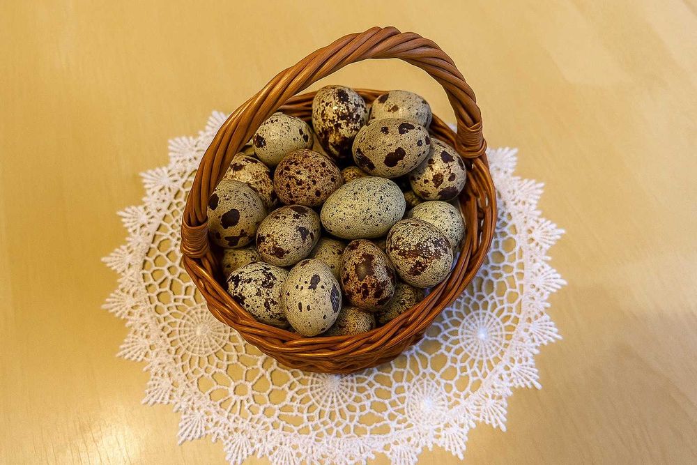 Jaja przepiórcze konsumpcyjne 360szt