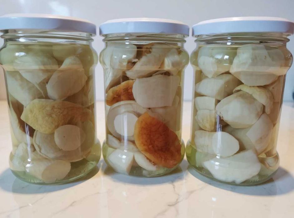 Grzyby marynowane prawdziwek, maślak, rydze, gąski, grzyby suszone