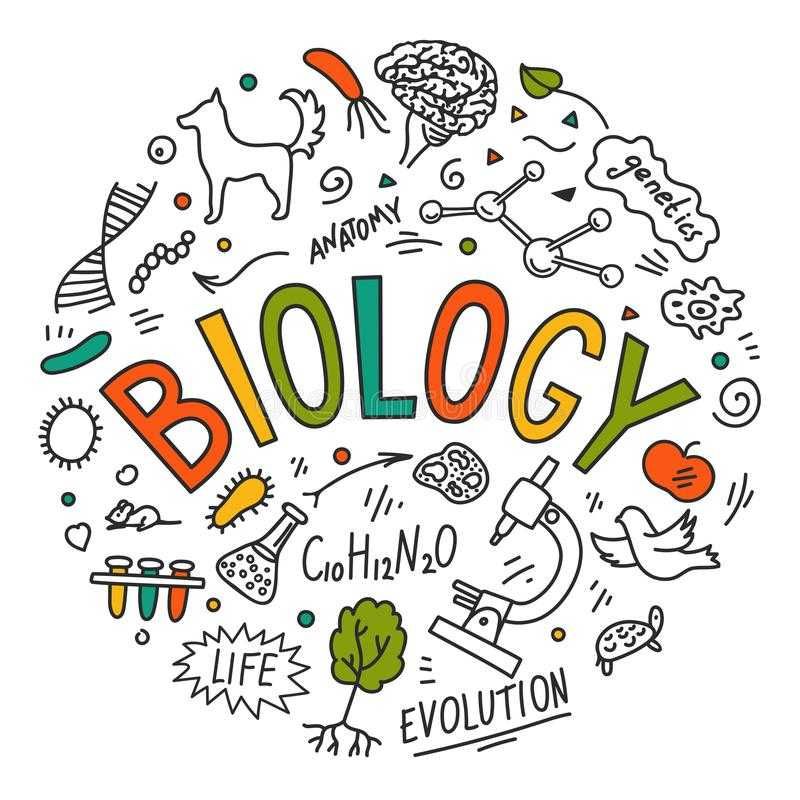 Preparação para o exame de Biologia e Geologia, por uma bióloga