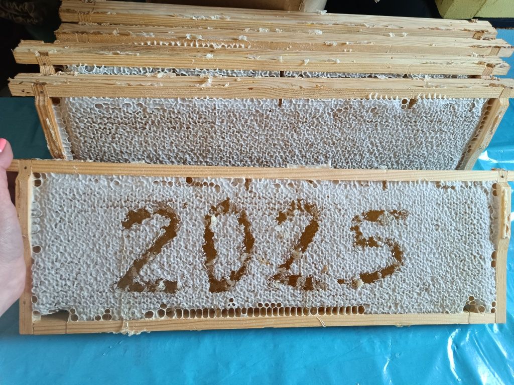 MIÓD Wielokwiatowy zbiór 2025
