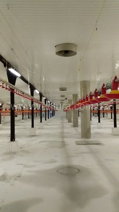 Обладнання для птахофабрик та вентиляція для птахокомплексів
