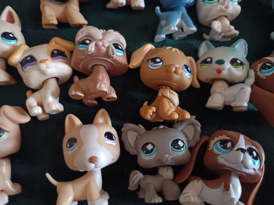 Little pet shop está na montra