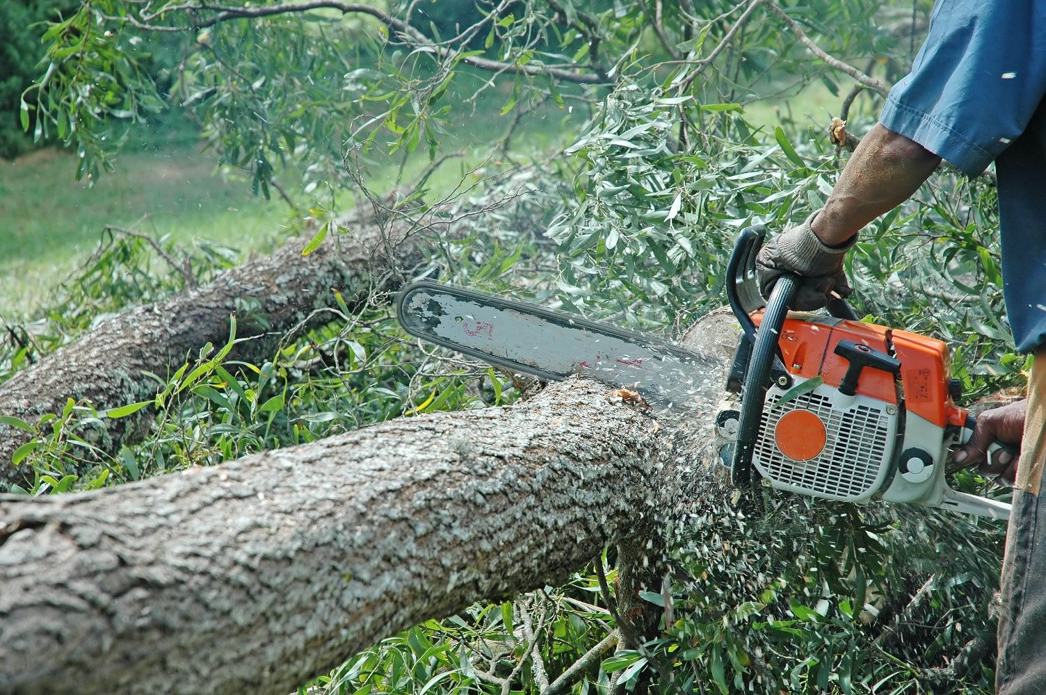 Serviços de Jardinagem e Limpeza de terrenos