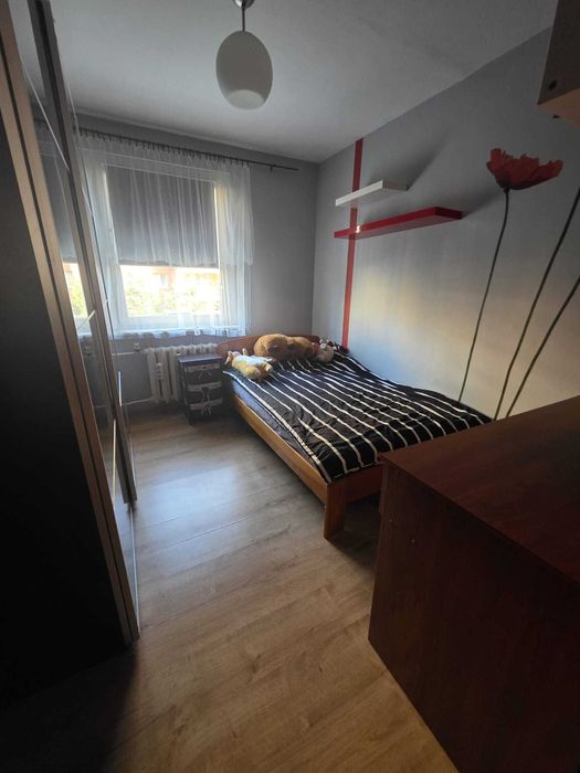 Mieszkania na sprzedaż MSZCZONÓW