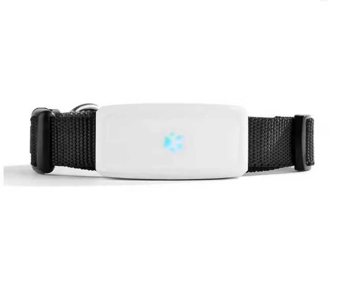 GPS-трекер для тварин TKSTAR Pet TK911 2G GSM, водонепроникний IP67