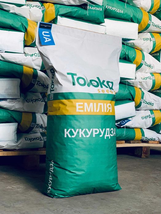 насіння кукурудзи