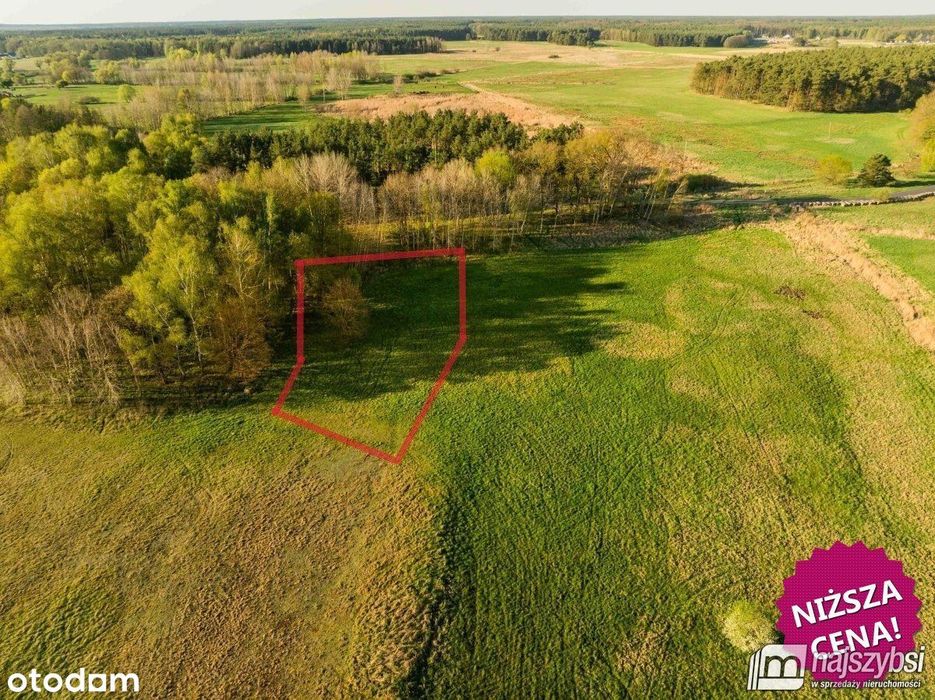 Grzepnica - Działka z wydanymi Wz z potencjałem