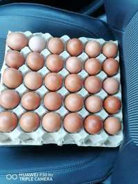 Vendo 30 Ovos caseiros