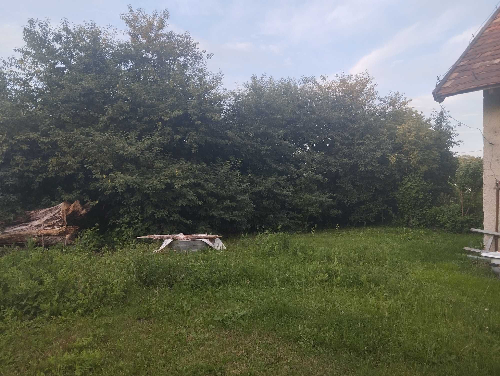 Pół domu z działką
