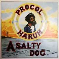 PROCOL HARUM- A SALTY DOG- LP- płyta nowa , zafoliowana