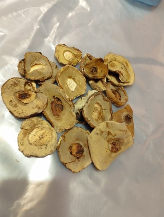 Білі гриби шапочка  ціна за кілограм