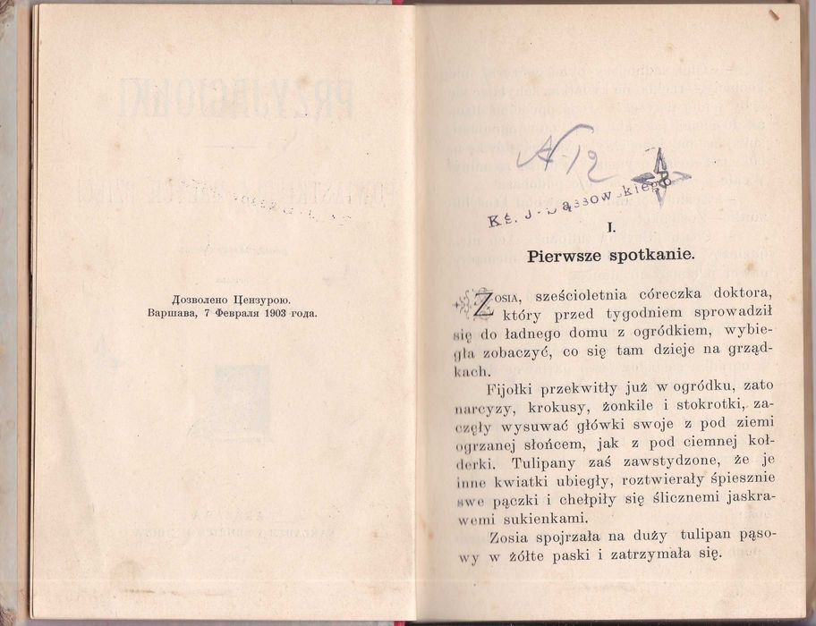 Przyjaciółki  - Antonina Domańska / 1904 r.