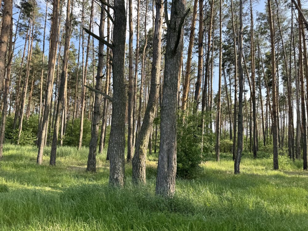 Земельна ділянка біля озера! 20 соток. Нове Залісся.