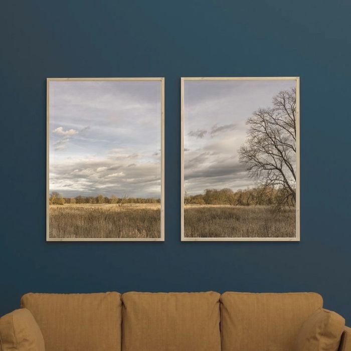 2 plakaty, fotografie, krajobraz “Odrzańskie rozlewiska”