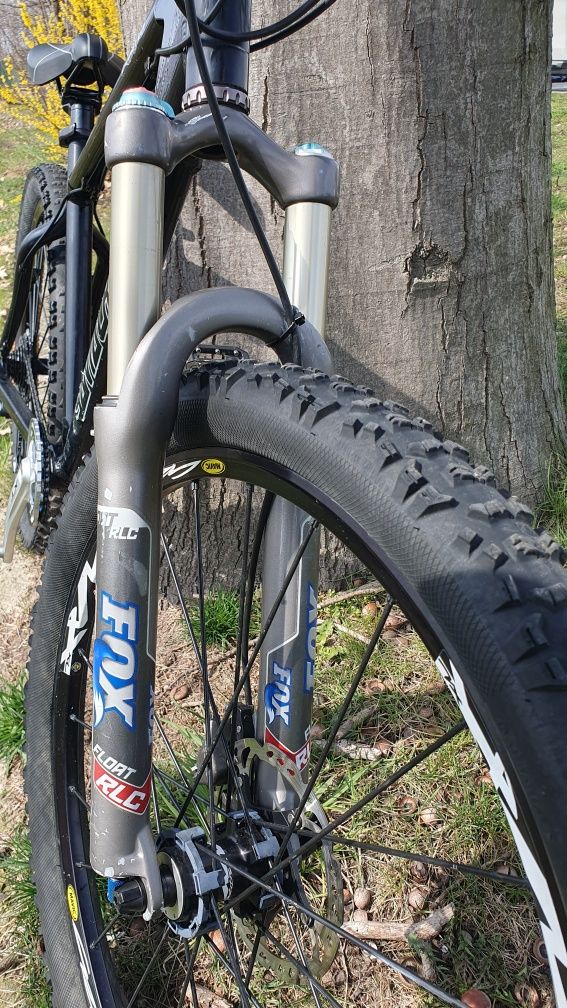 Santa Cruz Chameleon