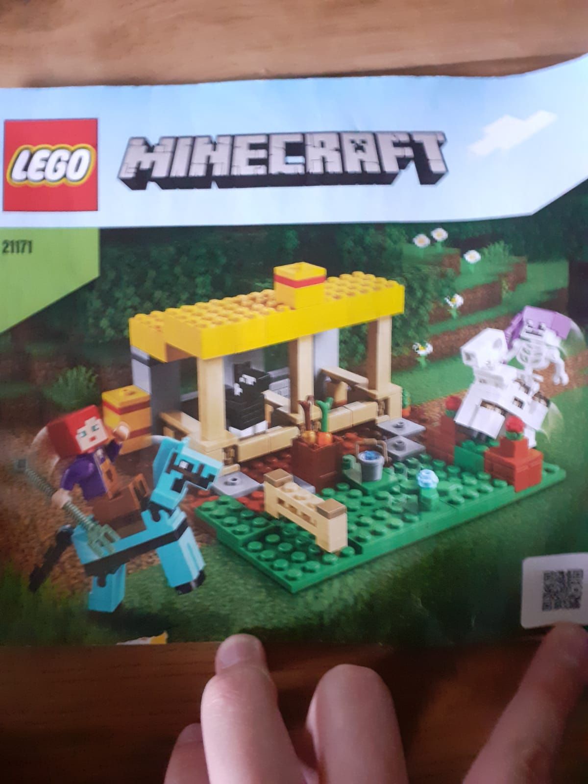 Lego minecraft 21171