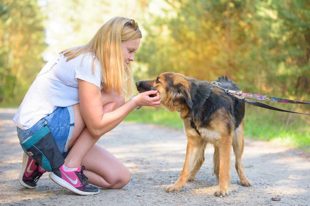 Młodziutka łagodna długowłosa sunia w typie ON - adoptuj Chikitę
