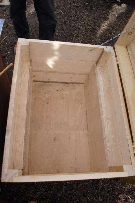 Ul Ule Dadant Dadanta Warszawski Poszerzany Pszczoły Odkłady