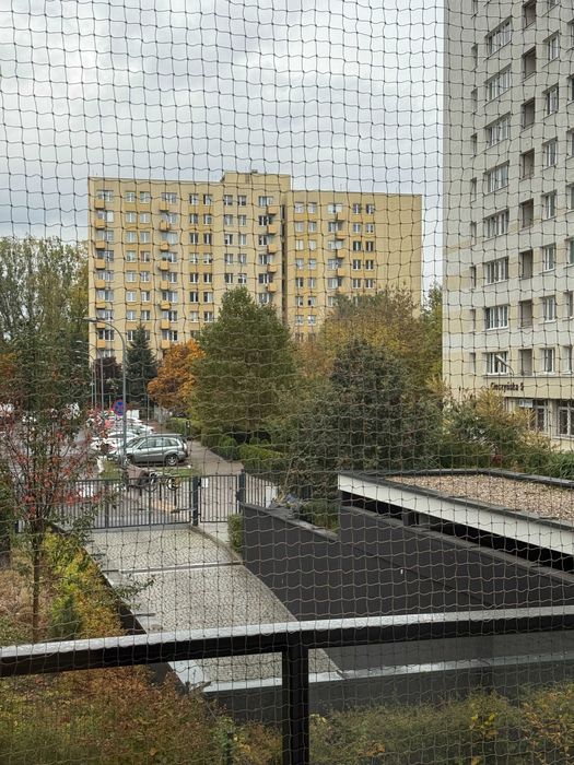 Siatka na balkon dla kota