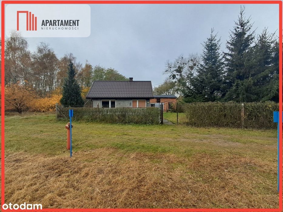 Uroczy domek w lesie. Gmina Kcynia