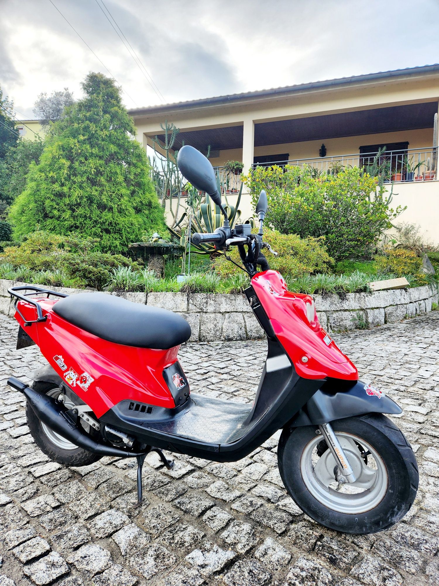 Pgo big max scooter 50
