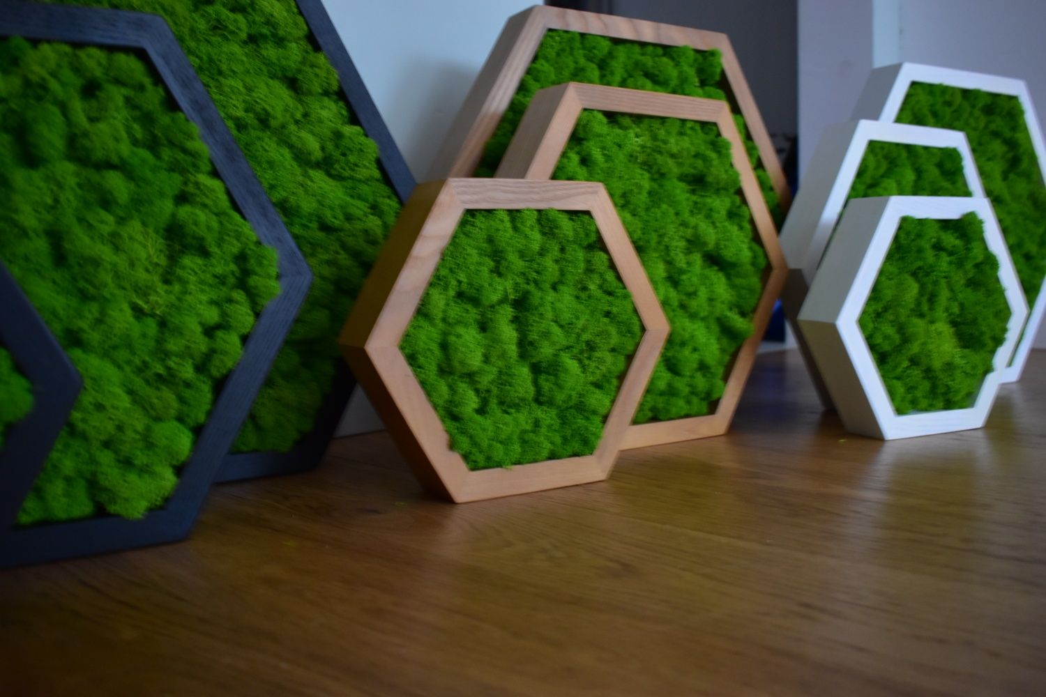 Zestaw obraz HEXAGON mech Chrobotek 3 szt M, L, XL, jesion, drewno