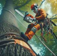 Uslugi wysokościowe / wycinka drzew / przycinanie / karczowanie