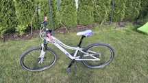 Rower Unibike Roxi