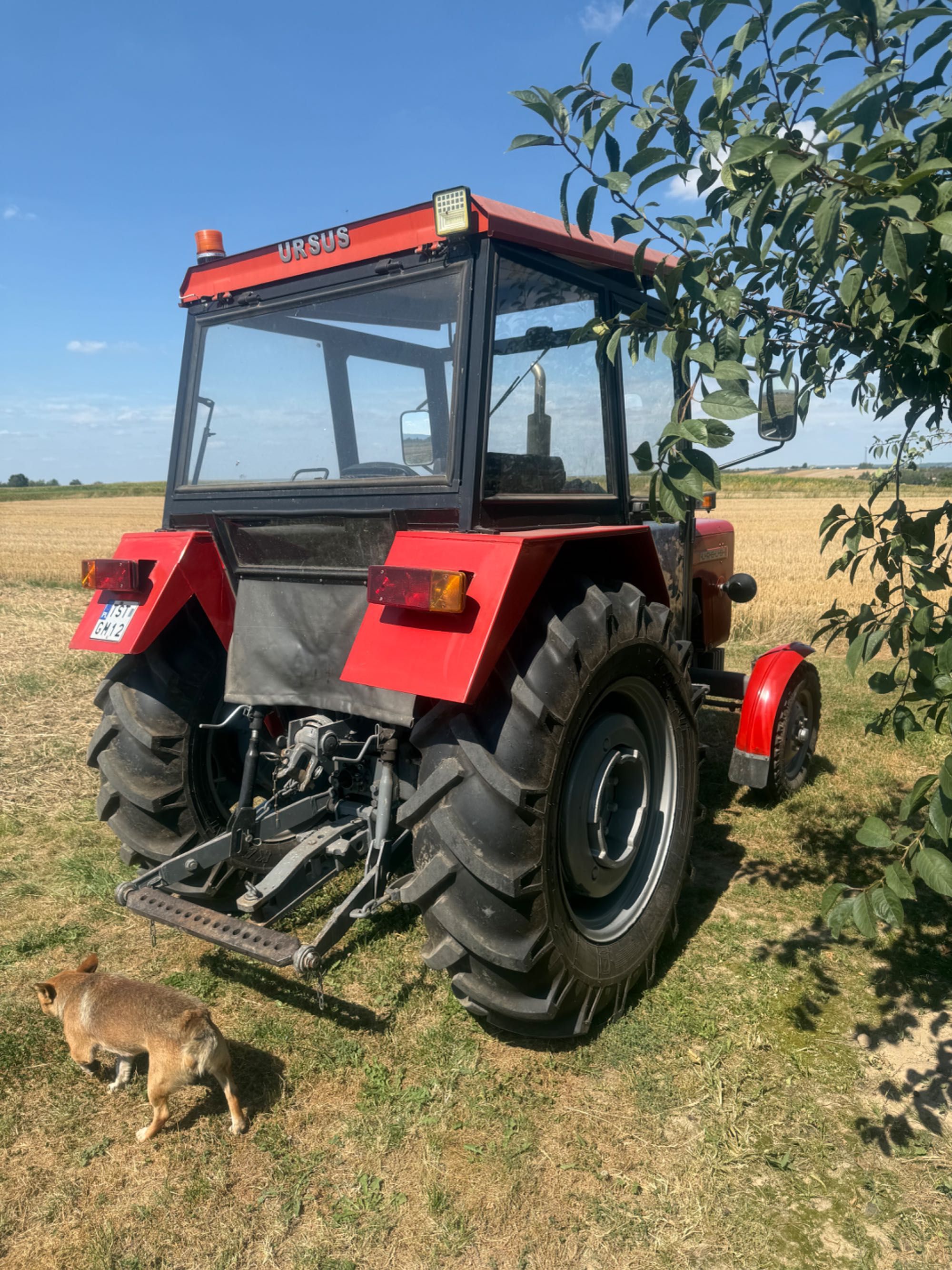 Ciągnik rolniczy URSUS C-360